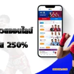 แทงมวย-Bk8